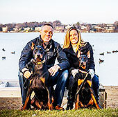 Indy - Doberman Pinscher