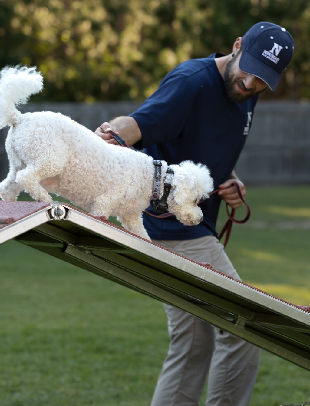 Minnesota Dog Training, Dog and Puppy Boot Camp - Neuman K-9 Academy