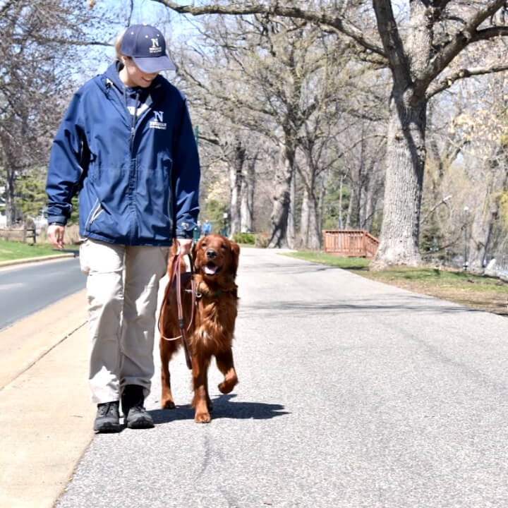 Puppy training boot camp near best sale me